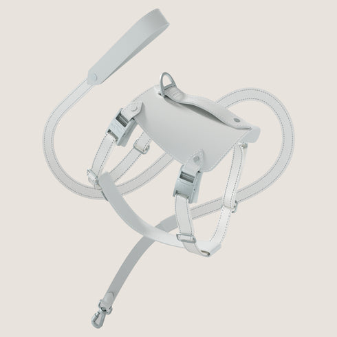 Saddle Pet Harness Set